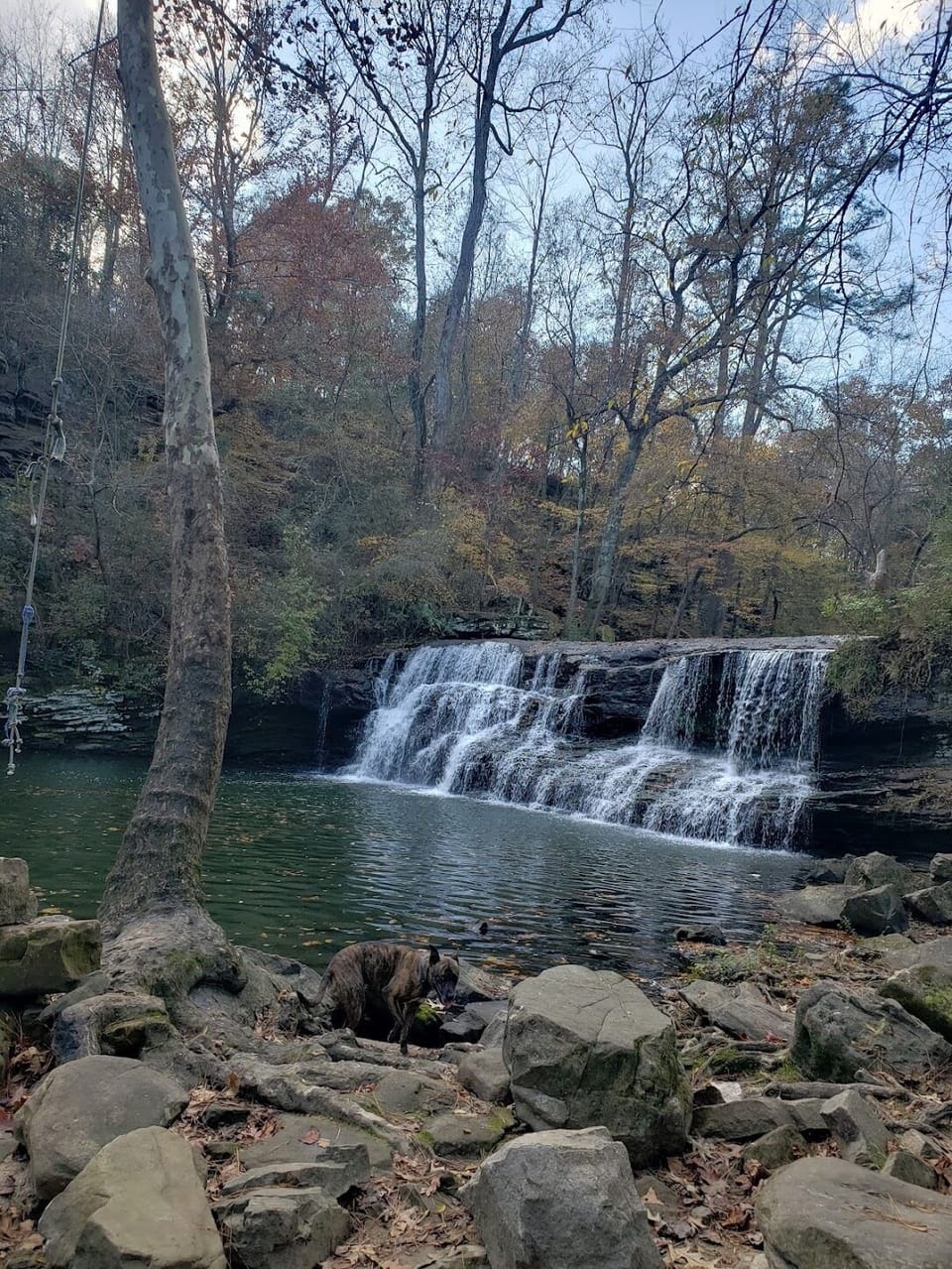 Mardis Mill waterfall is two miles down the road.