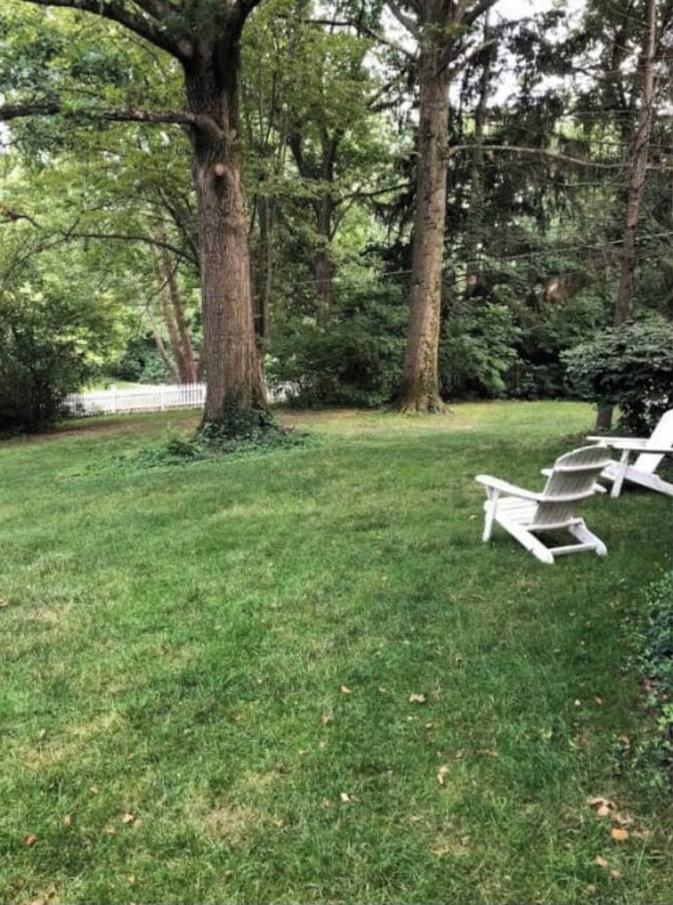 Sit in the Adirondack chairs and sip a drink,  read or birdwatch. 