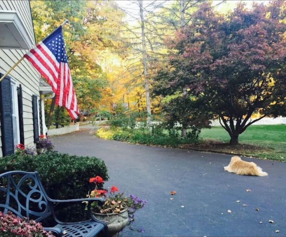 Seating area near front walk. 
(Our dear dog has passed since this picture.)