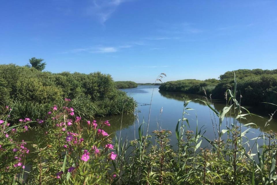 Region [summer] (>5 km)