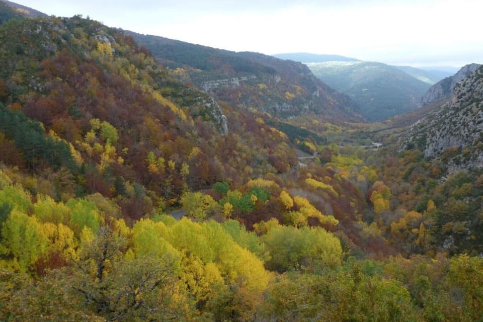 Region [winter] (>5 km)