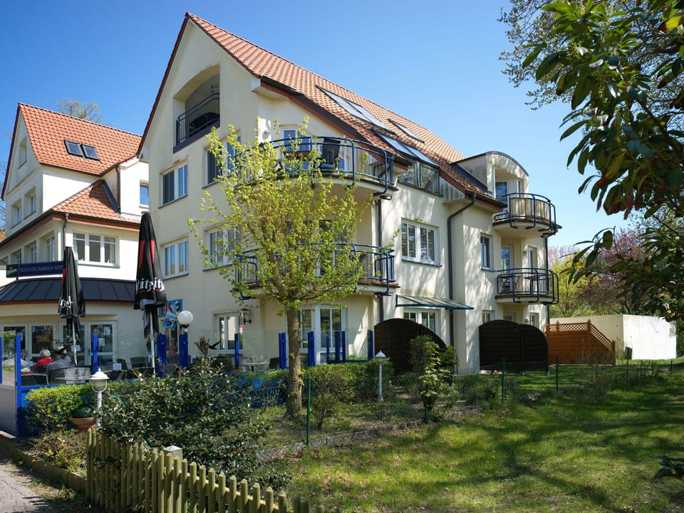 Main view