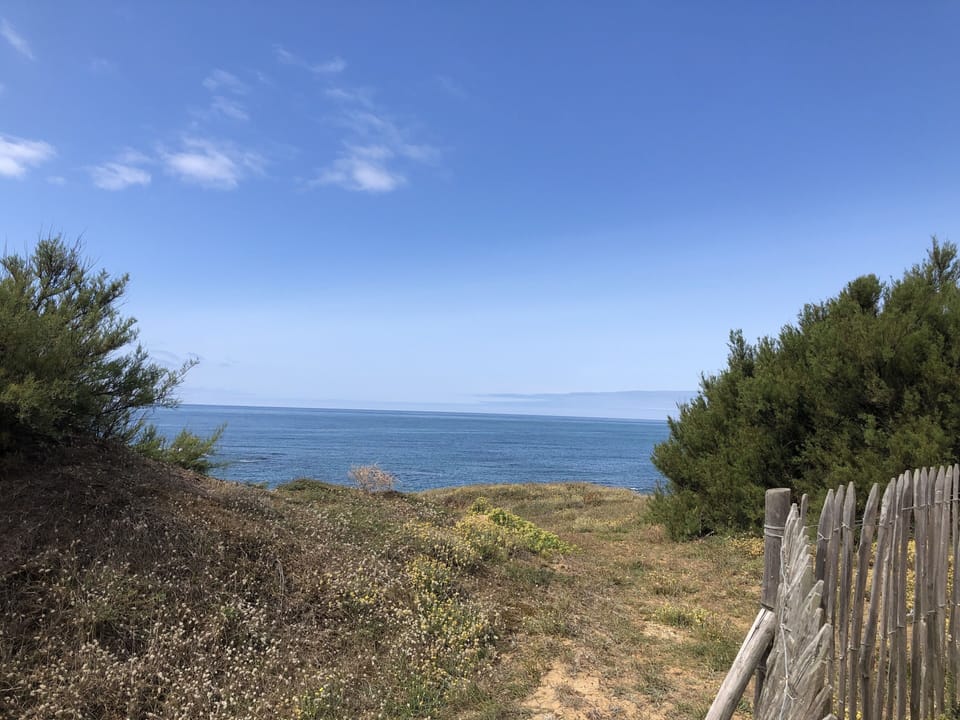 Beach