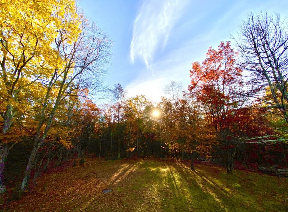 The yard in the fall 
