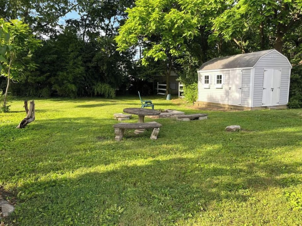Backyard from other side of the house