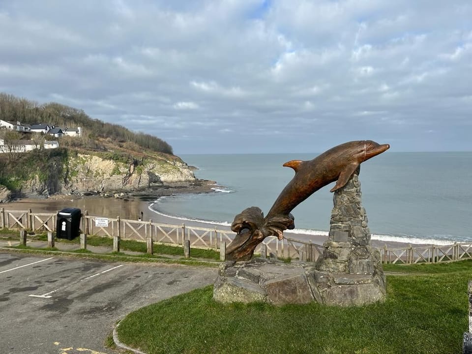 Dolphin on top of Dolwen Beach