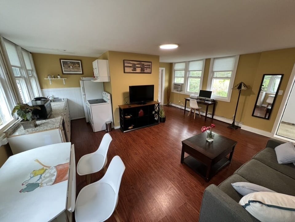 Living Room, looking over hand-painted table to kitchen, TV with 
Rokku, desk.
