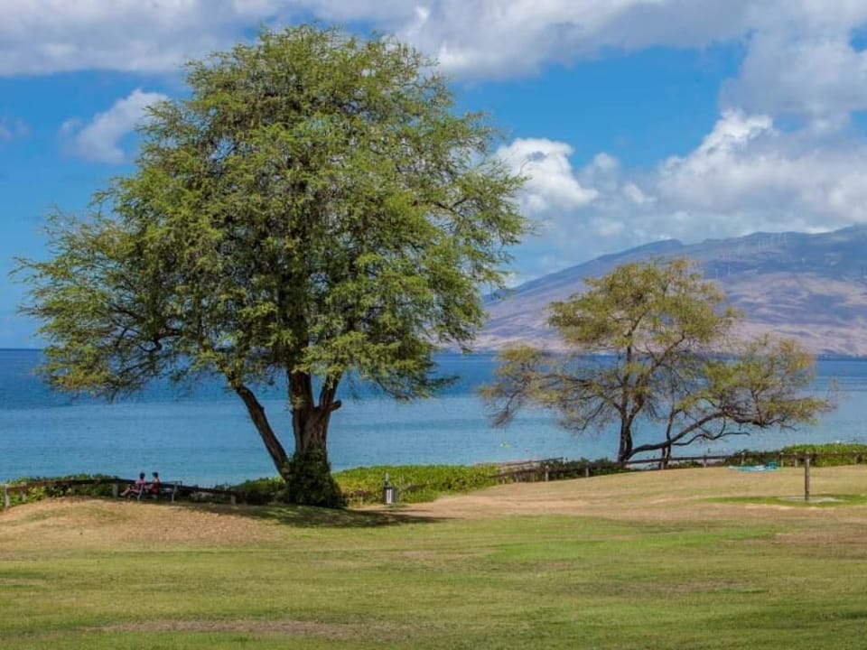 Big expansive park above Kamaole Beach III.