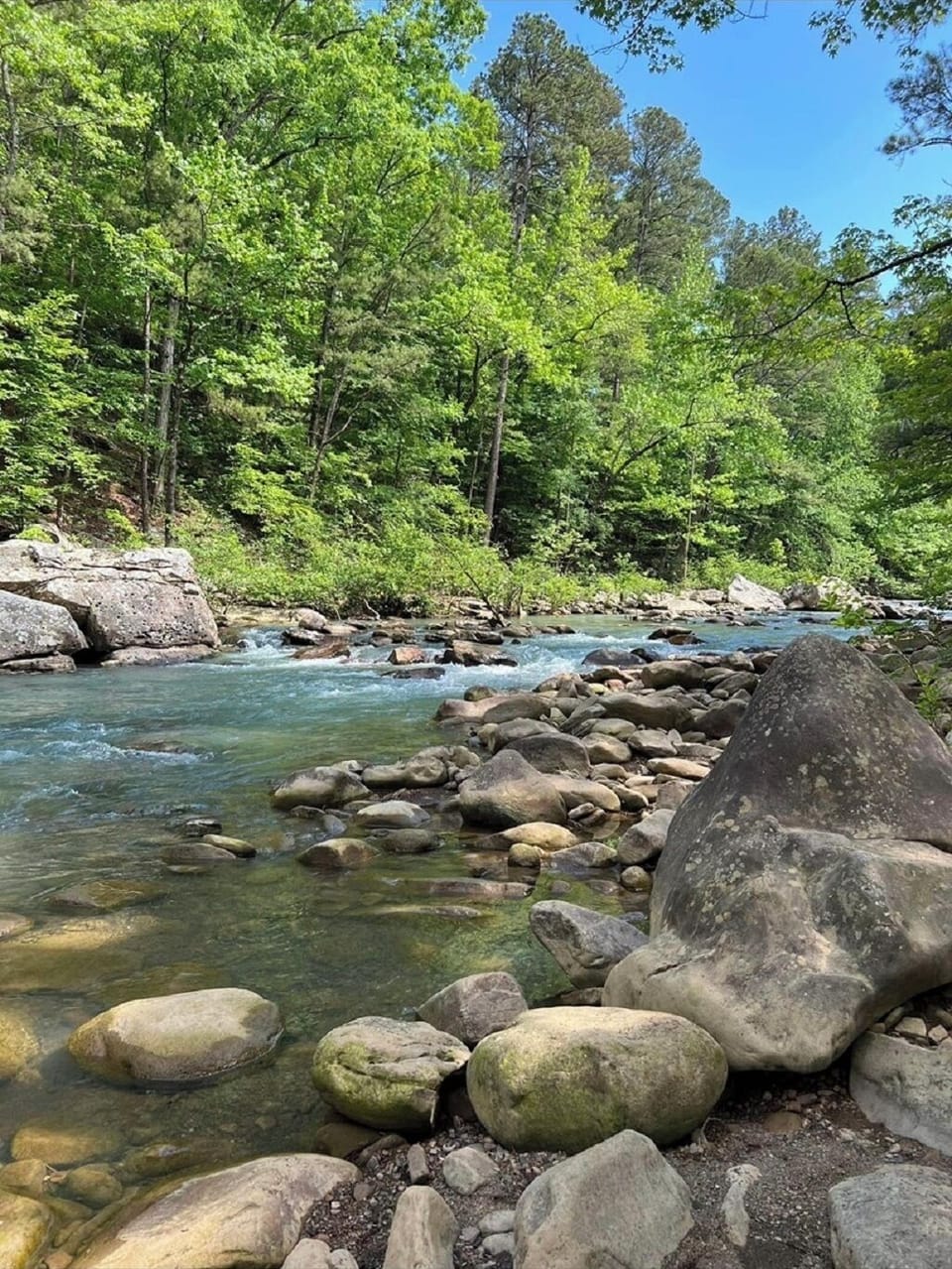 Half Bushel Bluff can be located using google maps. A short drive.