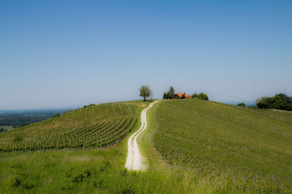 Image 31