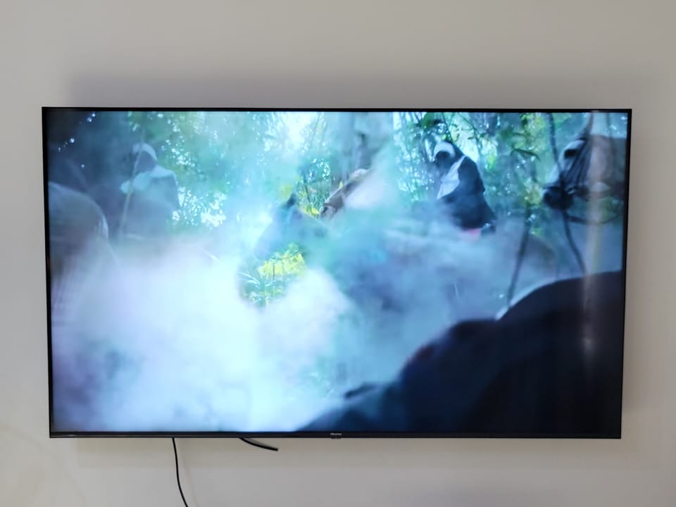 Television