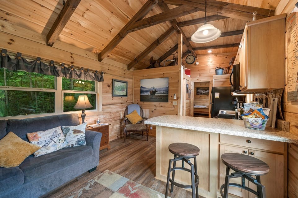 Living room and kitchen