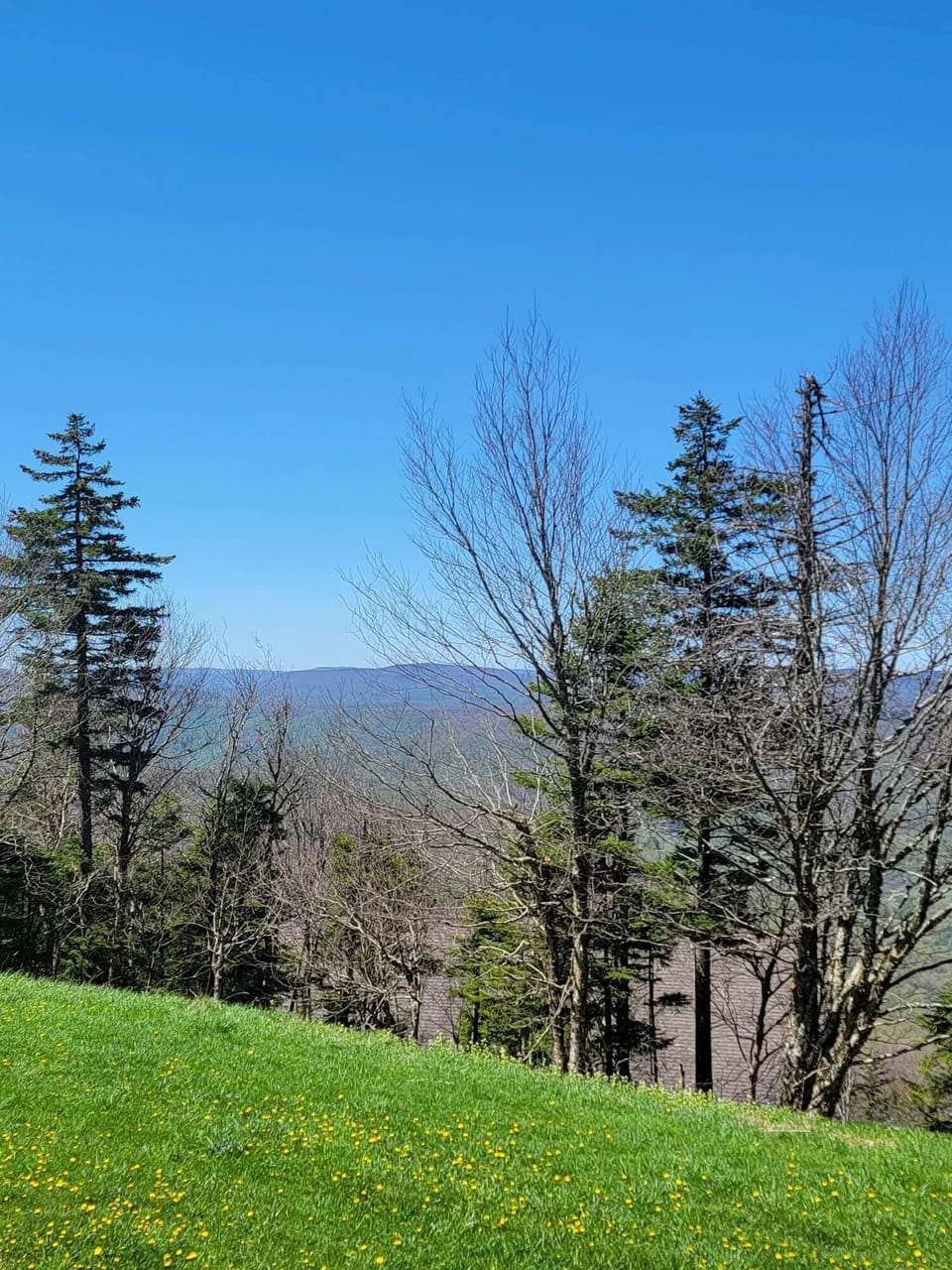 View from Summit Backyard