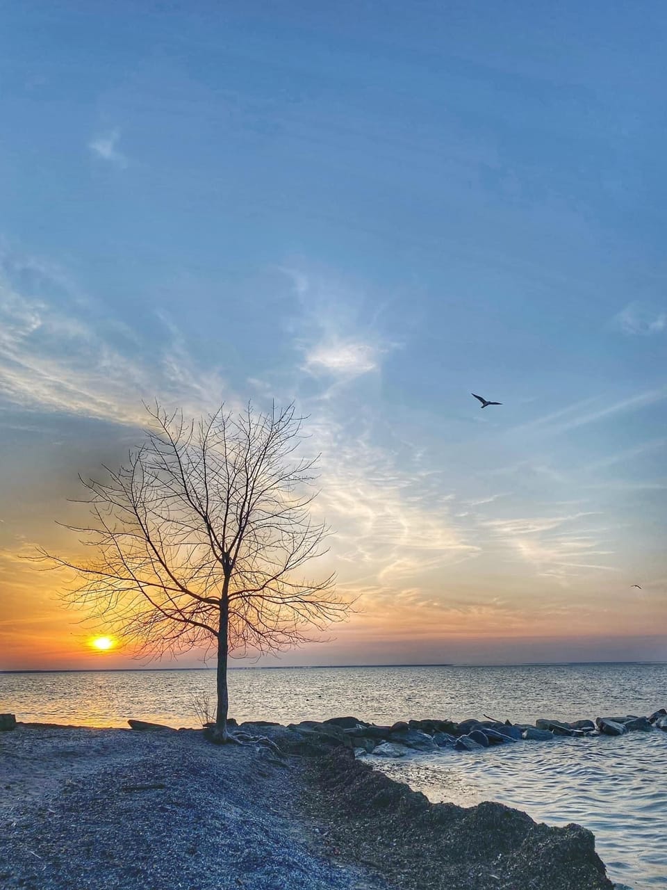 View from Showse Park