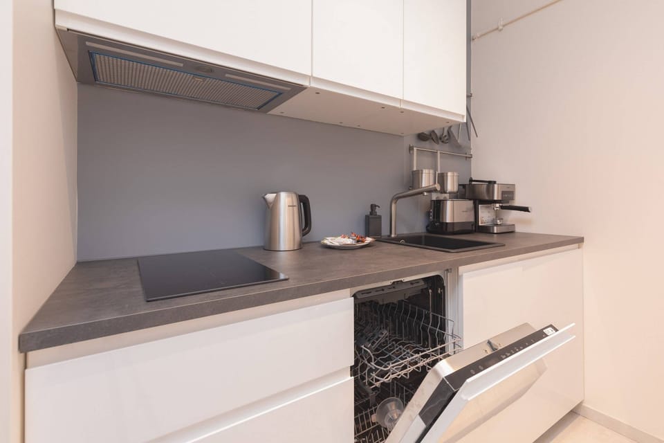 Kitchenette with induction hob, fridge, freezer, toaster, electric kettle and dishwasher.