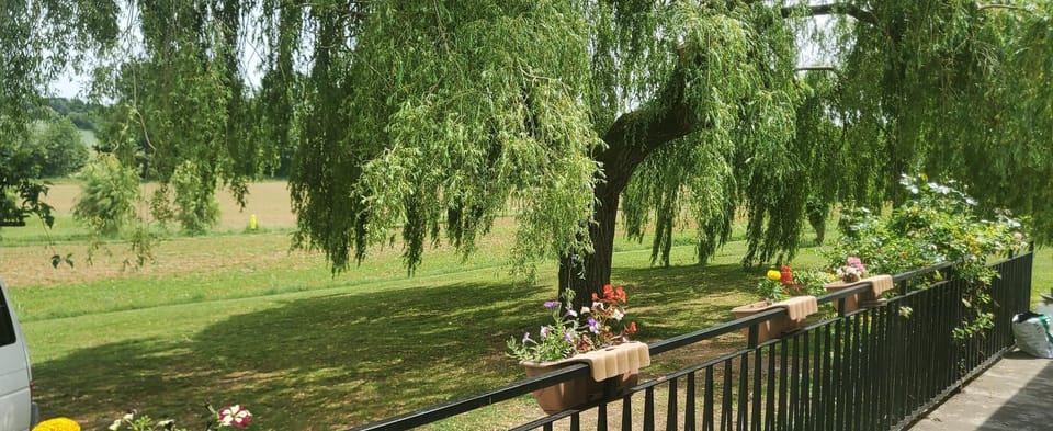 Image 27