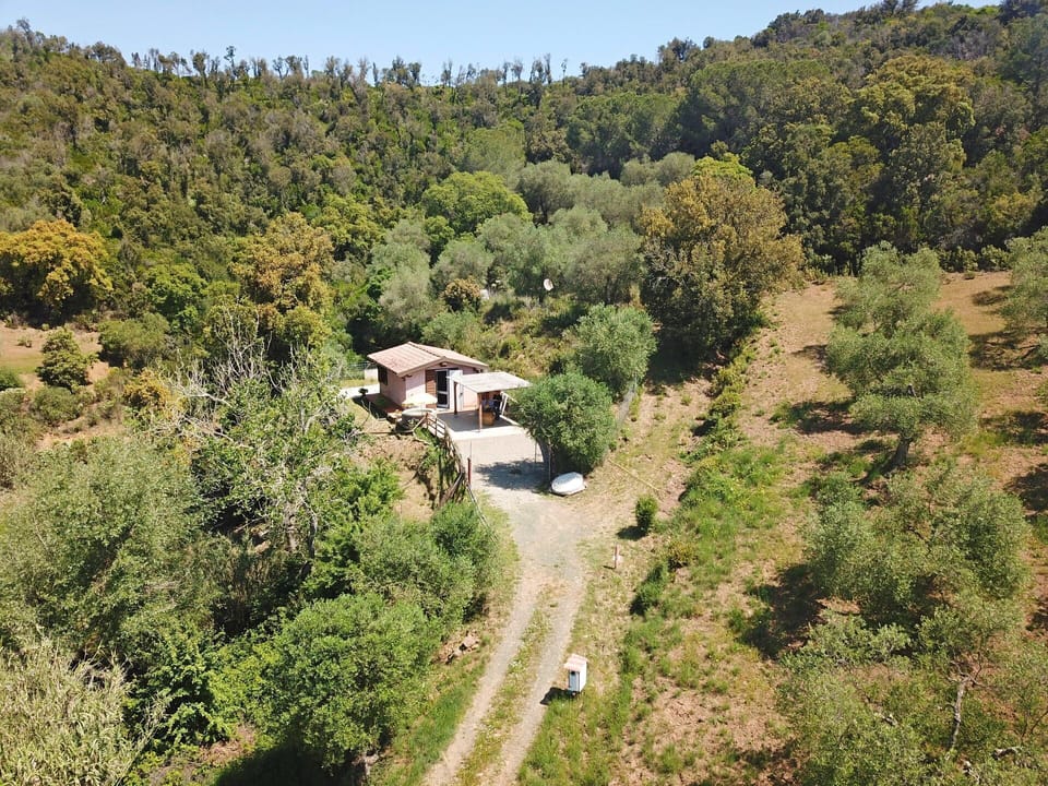 Garden, Outdoor