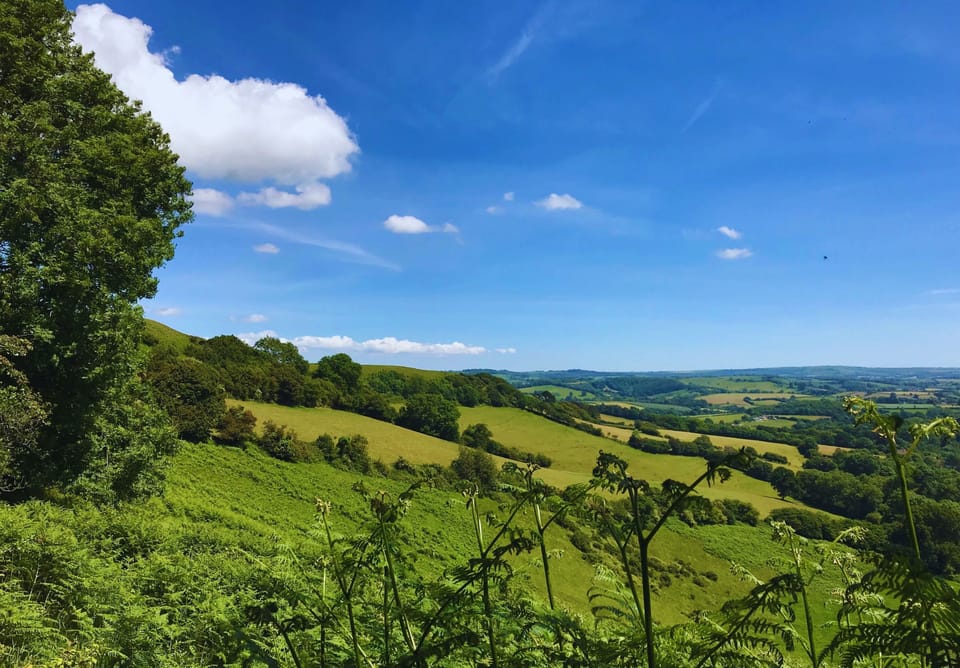 Places to visit nearby, Beaminster Town