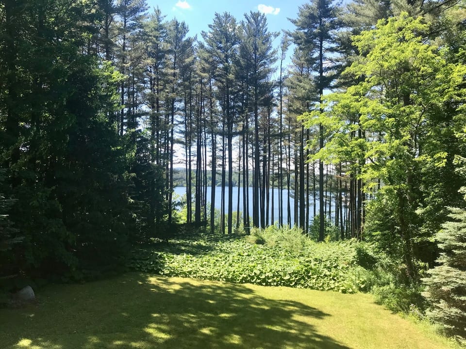 View of Laurel Lake as seen from deck, patio and back yard