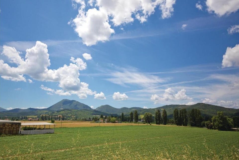 Region [summer] (>5 km)