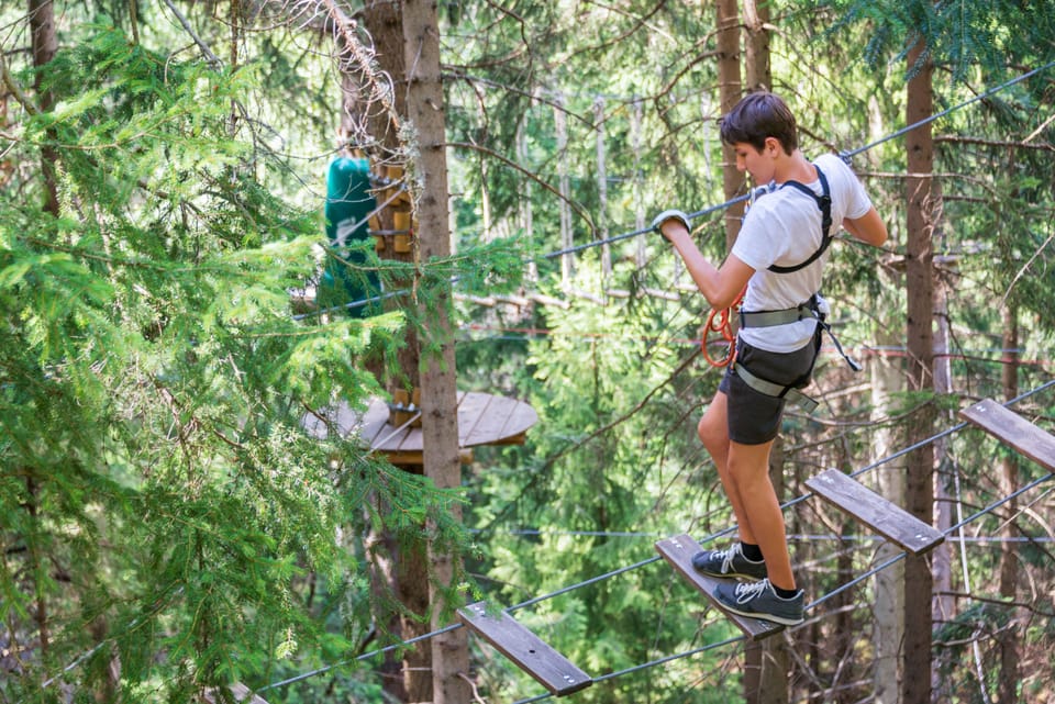 Vacation apartments in the Bavarian Forest - with wellness Apartment in Straubing-Bogen