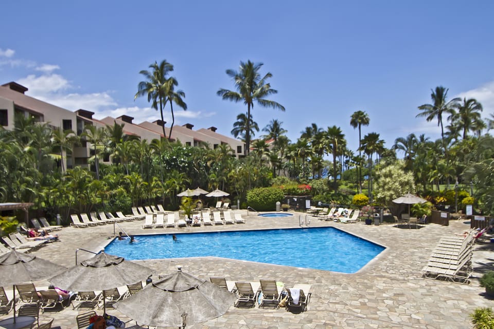 A tropical paradise poolside oasis framed by swaying palms and lush gardens, where sunny days meet total relaxation amid resort-style lounging and island charm.