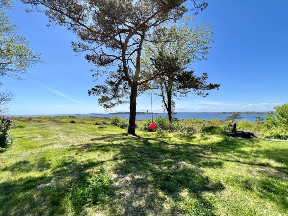 Backyard overlooking the ocean