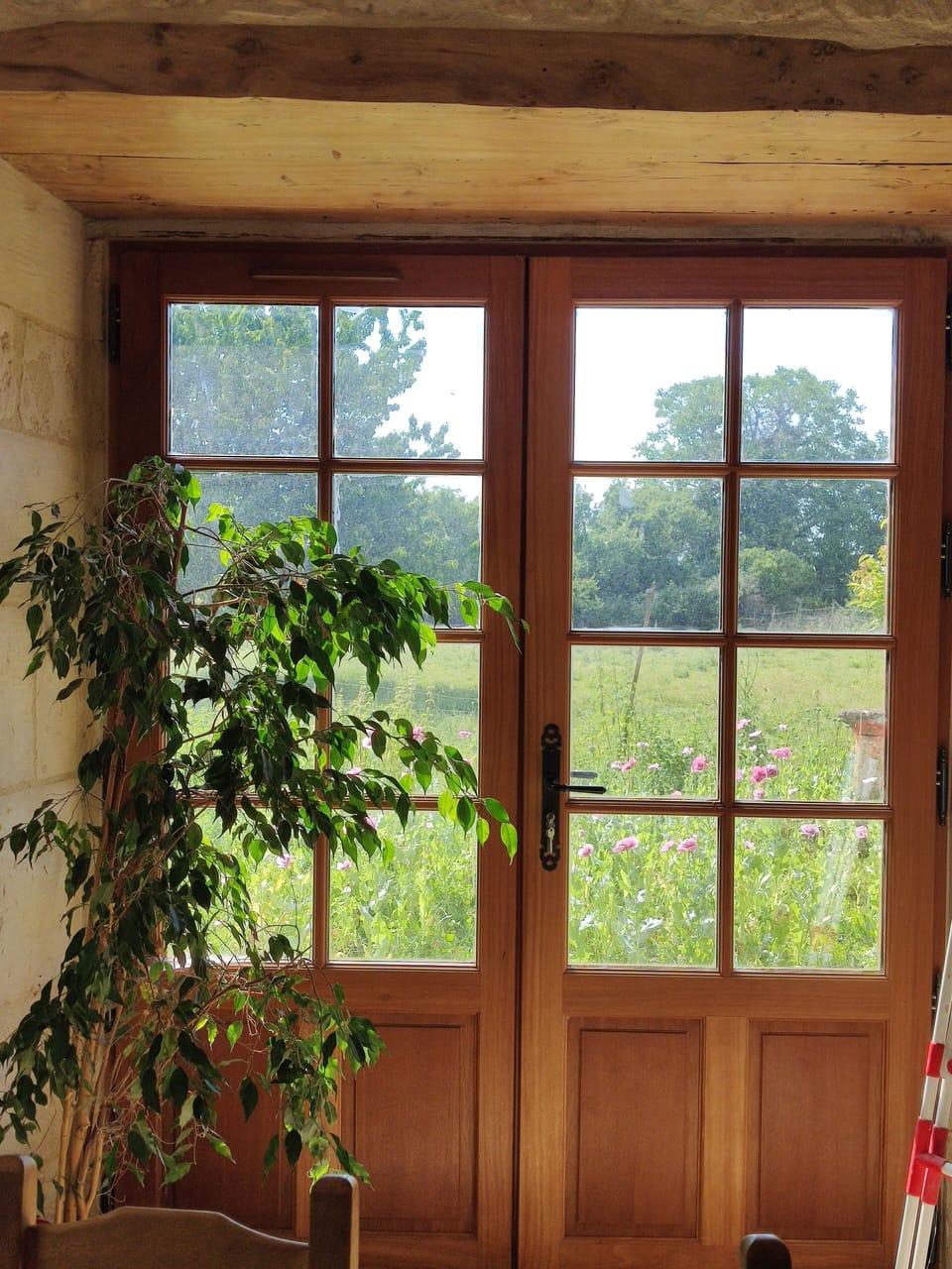 view from kitchen