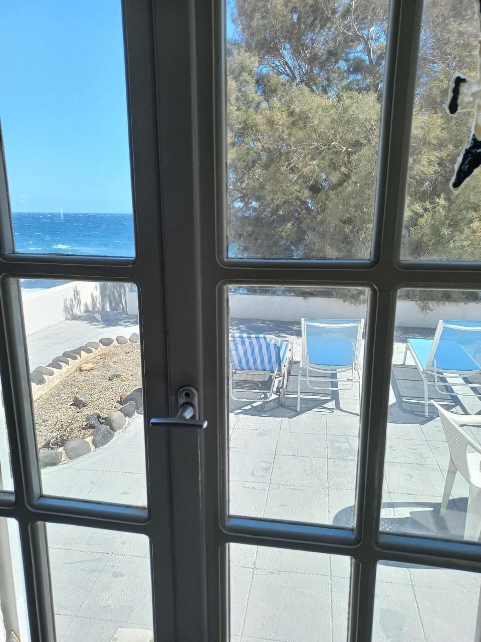 View from the window. View from the Backyard with balcony door private area