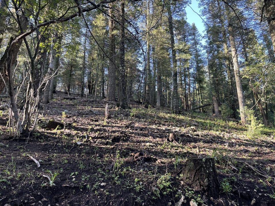 Behind cabin