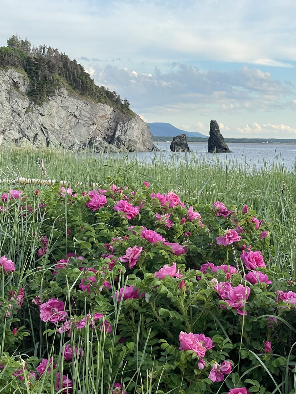 Presqu'ile Beach, one of our favourite  beaches to watch the sunset. 