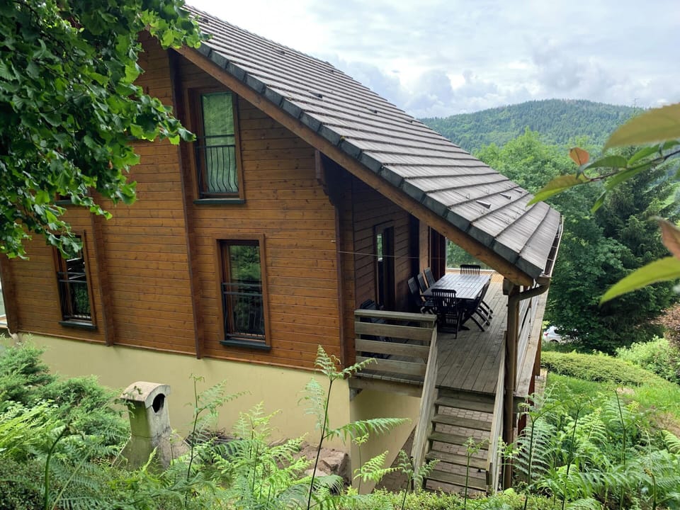 Back view