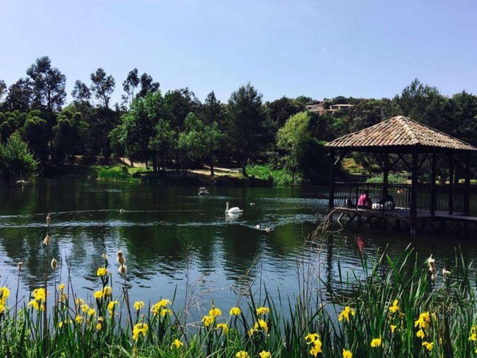 Lake