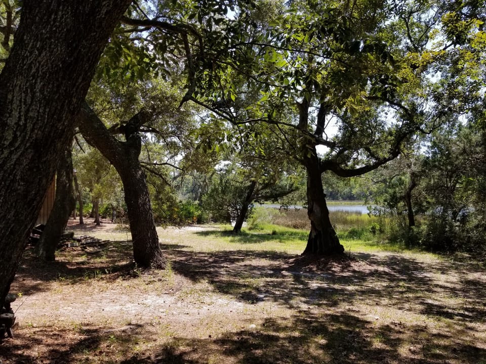 View from the porch to the bayou
