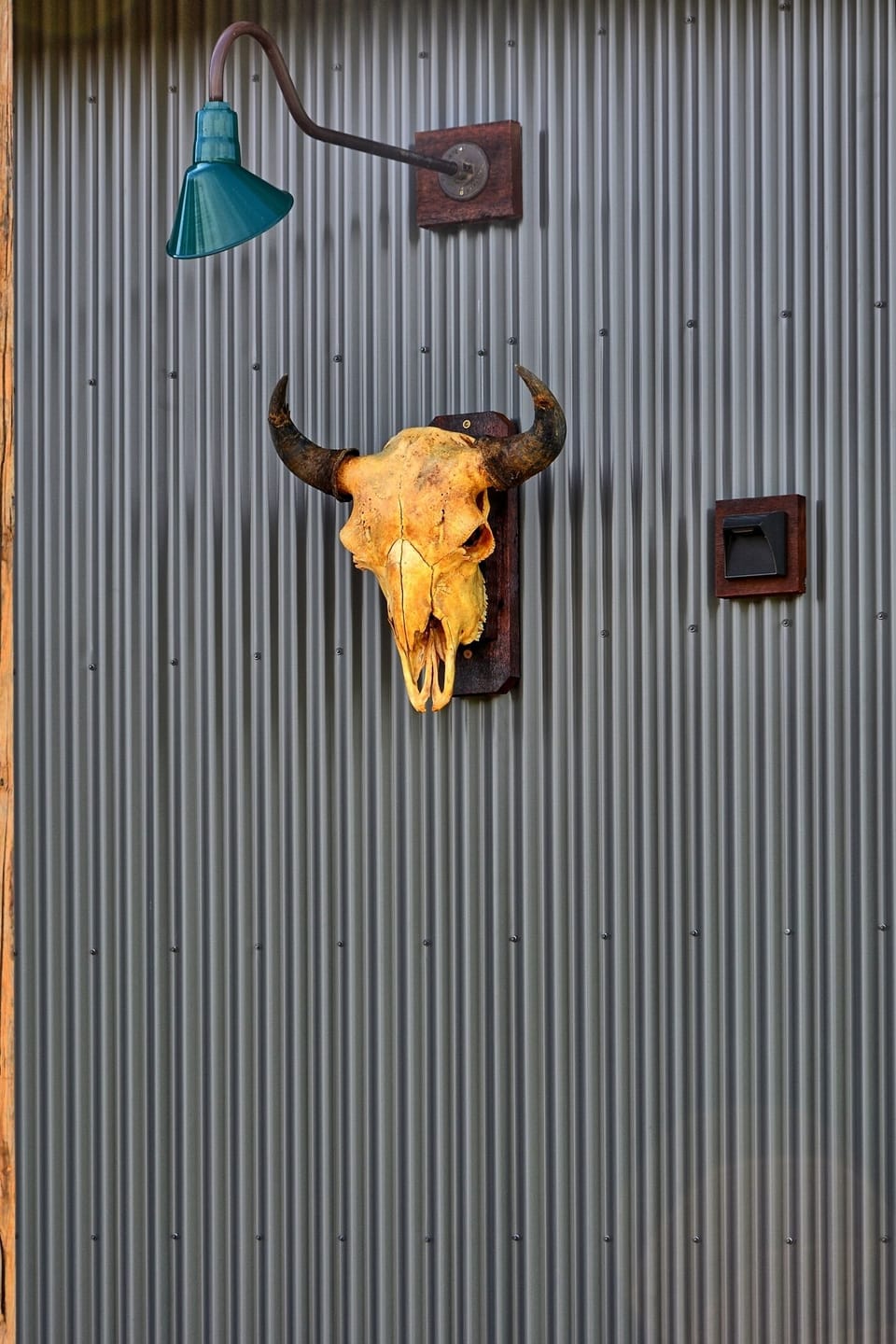 Mascot of the Buffalo Cabin