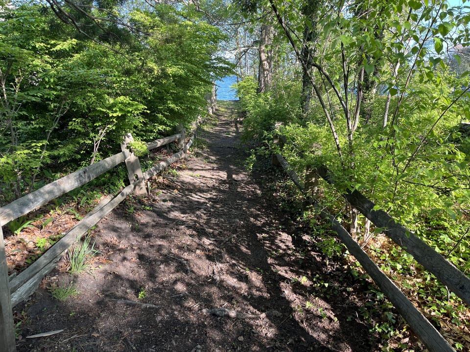 Private path to the lake!