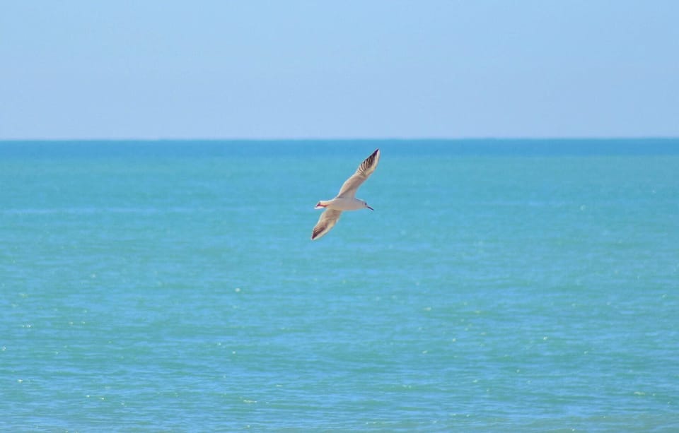 beach