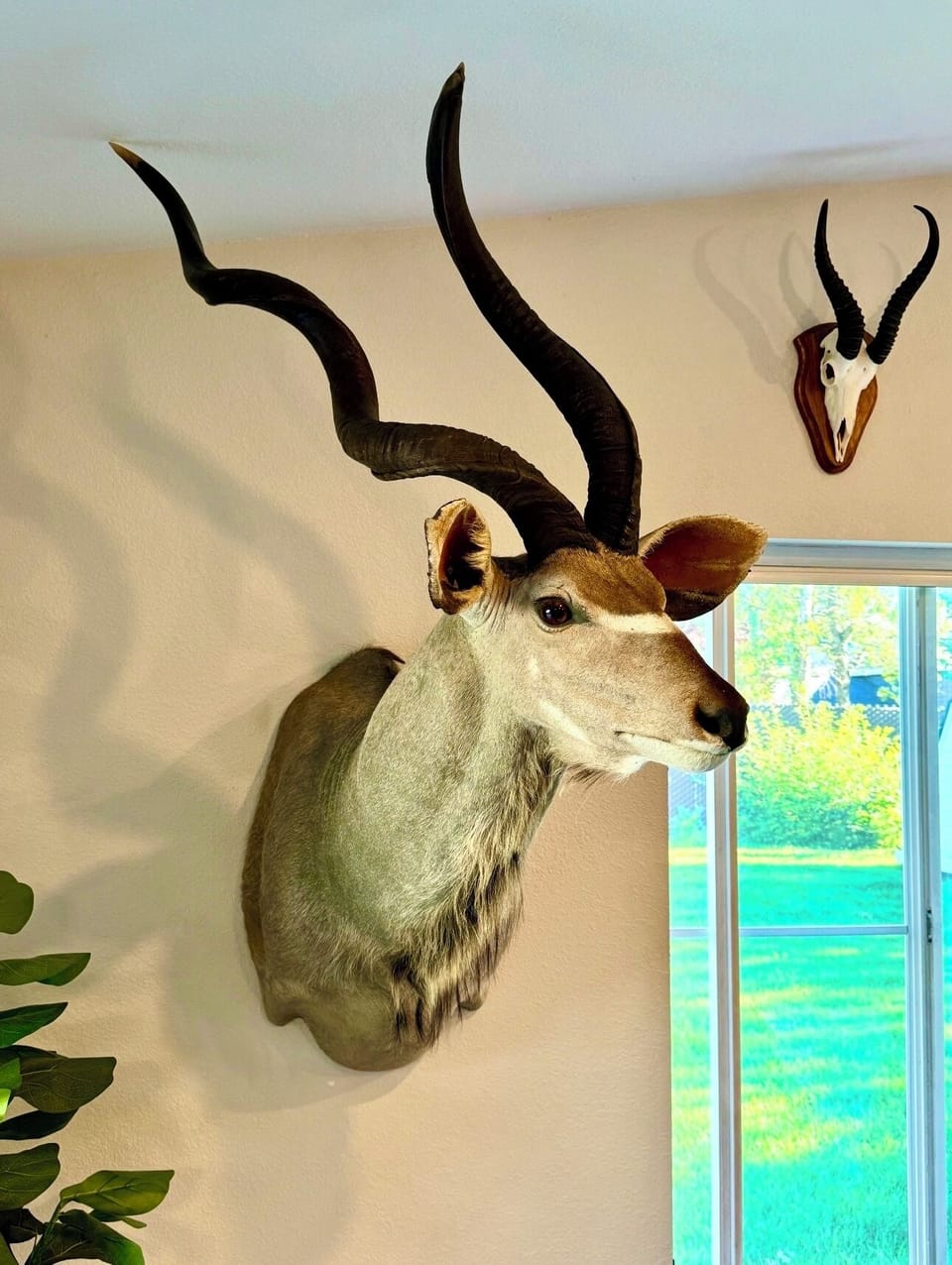 Open concept living room with a television, Wi-Fi and taxidermy.