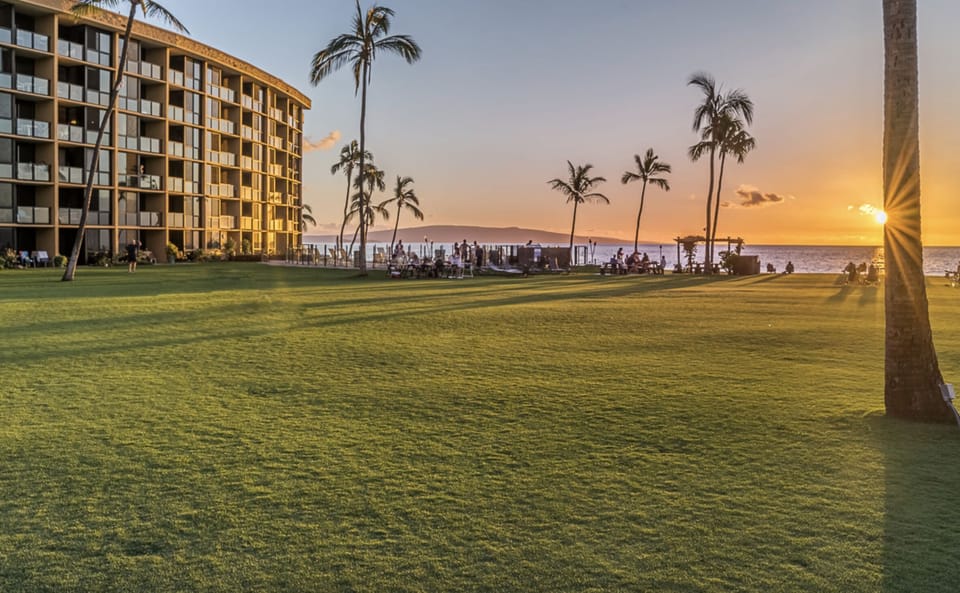 Magical sunsets on the lawn - you just cannot get enough of it!