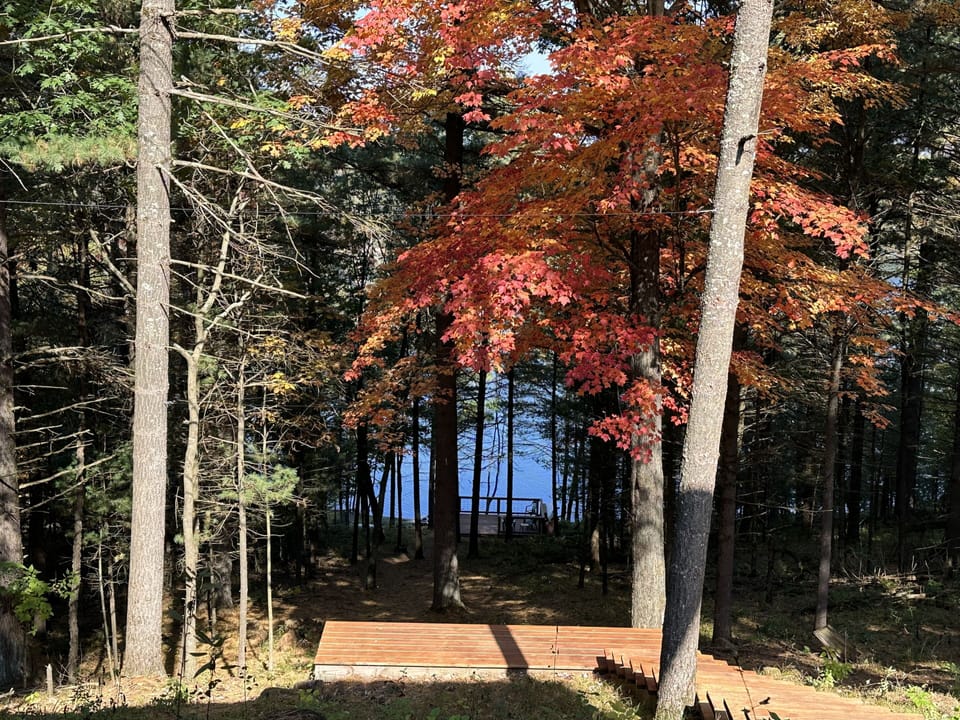 View from the cabin.