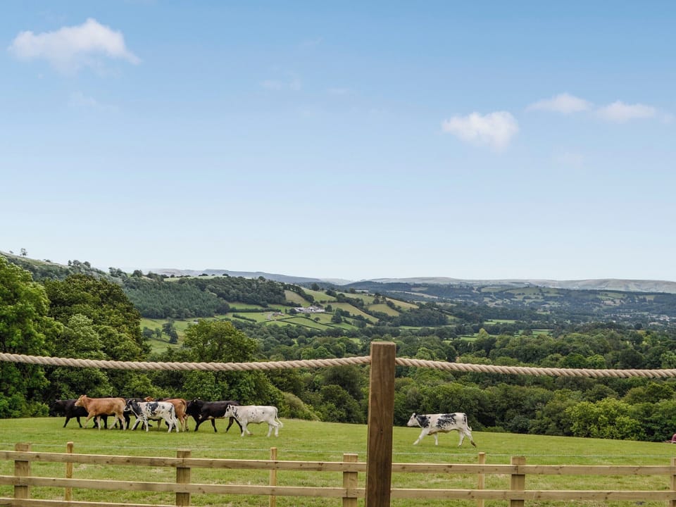 View | Valley View - Bwlchmaenllwyd Farm Holiday, Cilycwm, near Llandovery