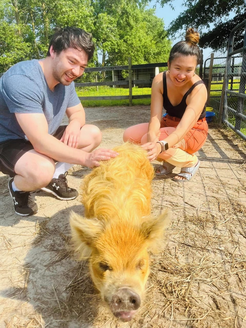 Optional Chores N' Tour animal experience
