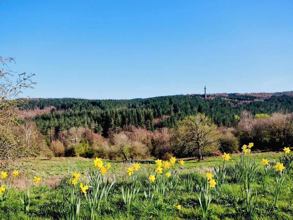 View from Lockhaugh Farm | Stable House, Gardeners Cottage, Tiny House Railway Carriage Number 1 - Lockhaugh Farm Cottages & Carriages, Rowlands Gill