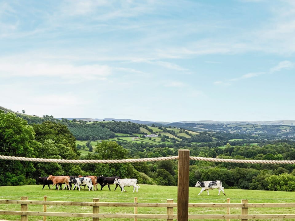 View | Mountain View - Bwlchmaenllwyd Farm Holiday, Cilycwm, near Llandovery