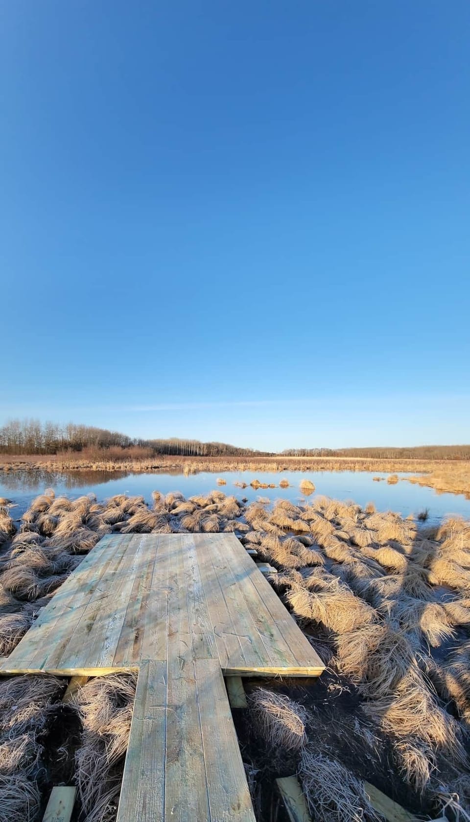 Boardwalk to Casey Creek