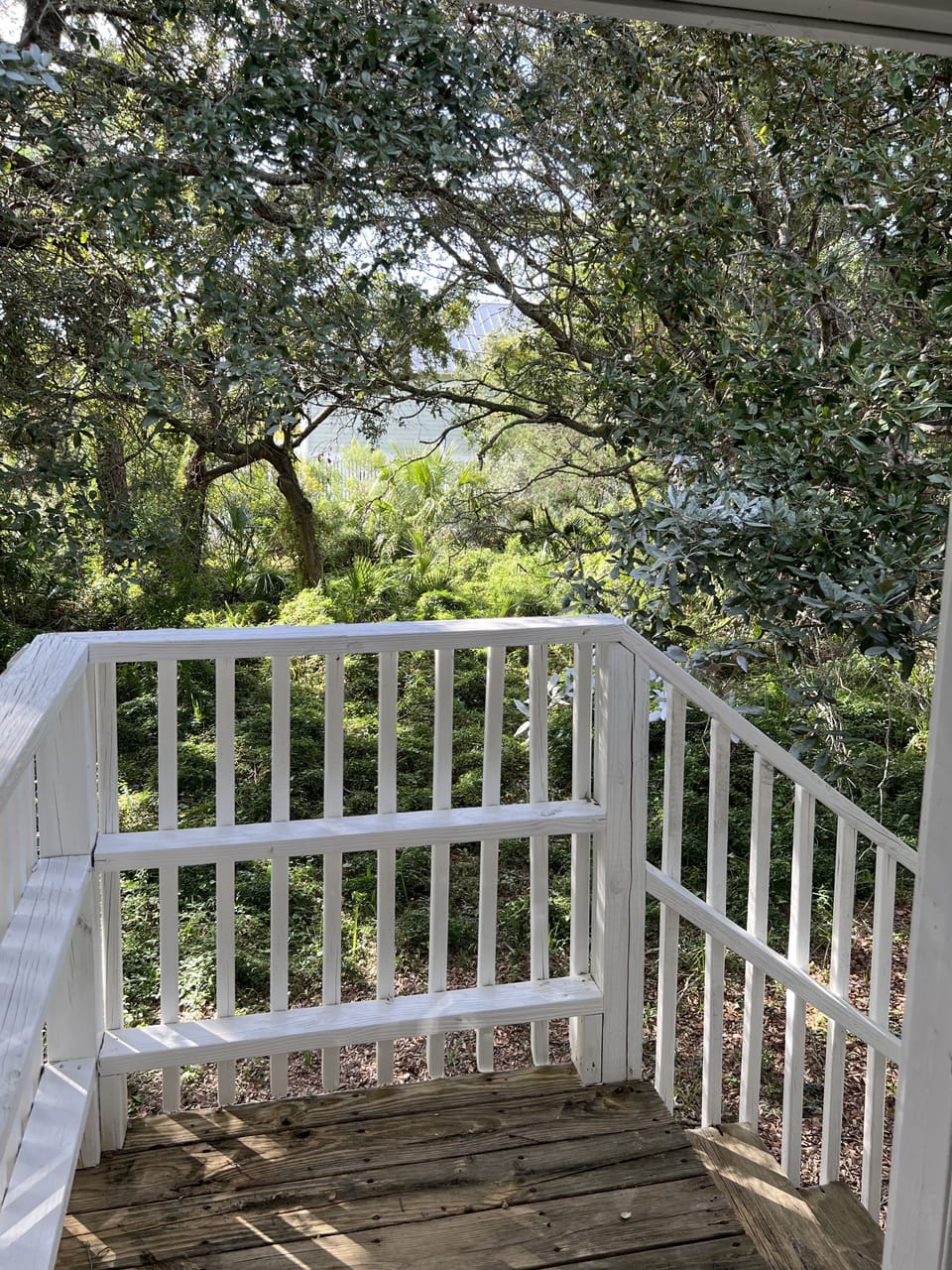 view from back door