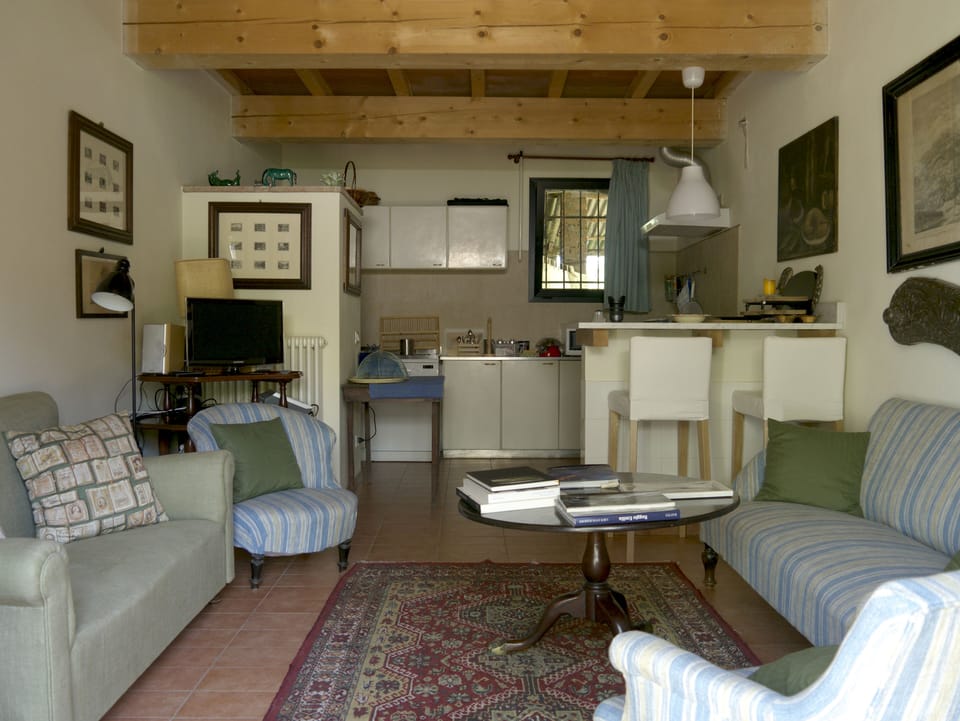 view entering the apartment. Living room in front, kitchen at the back.