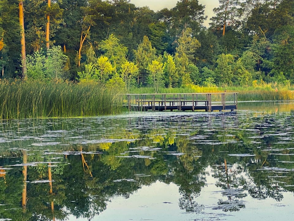 Lake