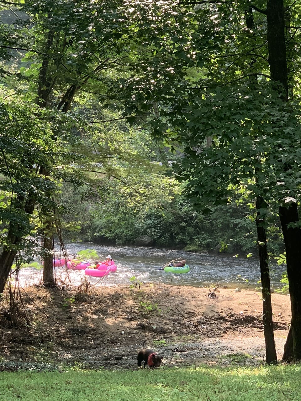 Count the tubers that float by in the summer or join in on the fun!