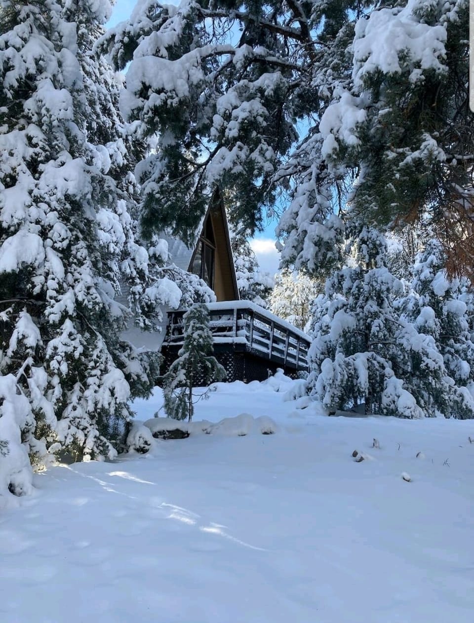 Winter Wonderland!